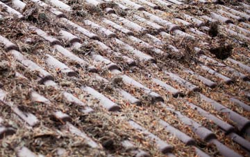 Houndwood roof cleaning companies